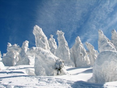 日本三大樹氷のひとつ「森吉山の樹氷」