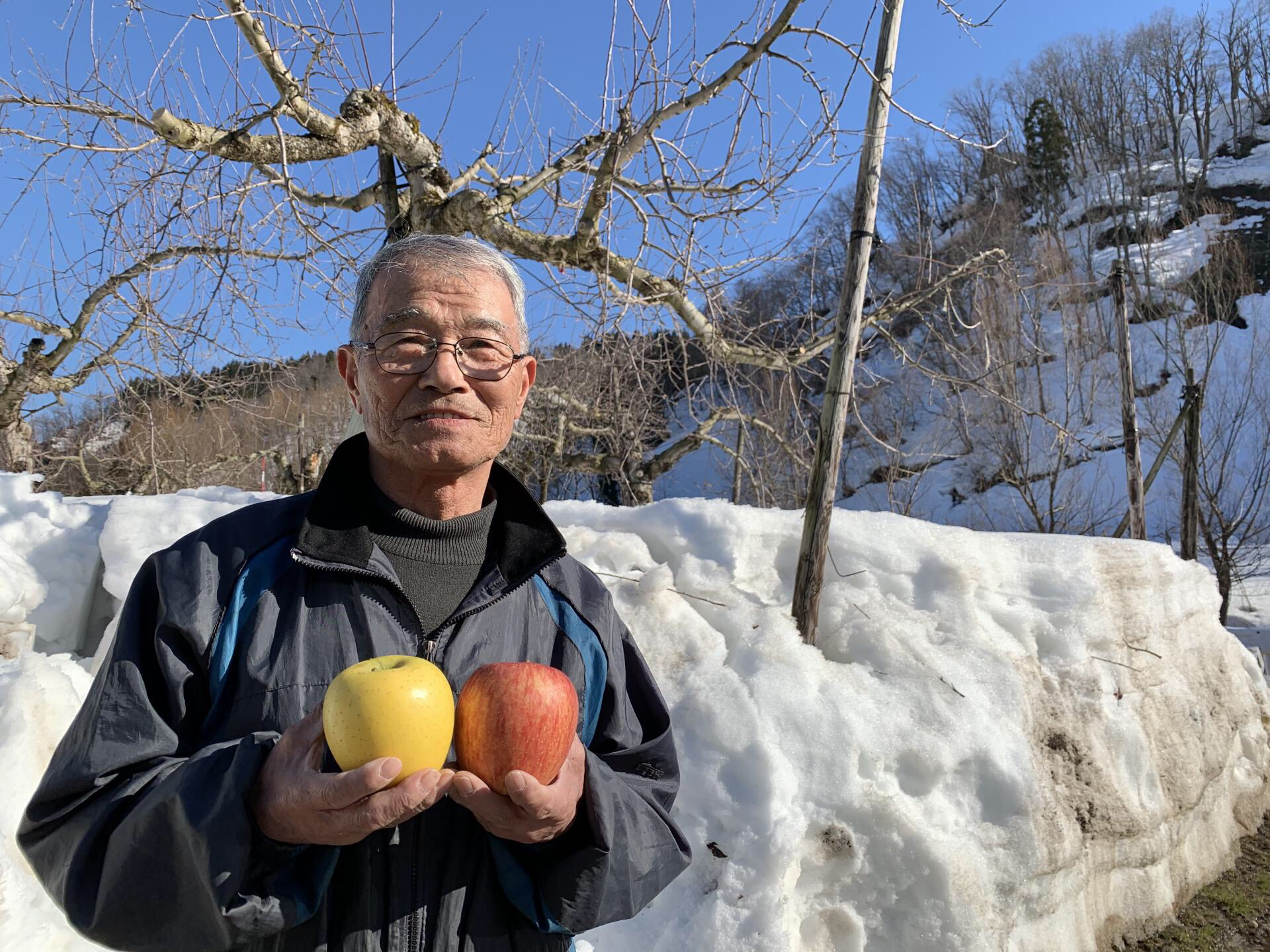 湯沢市の りんご農家阿部さん